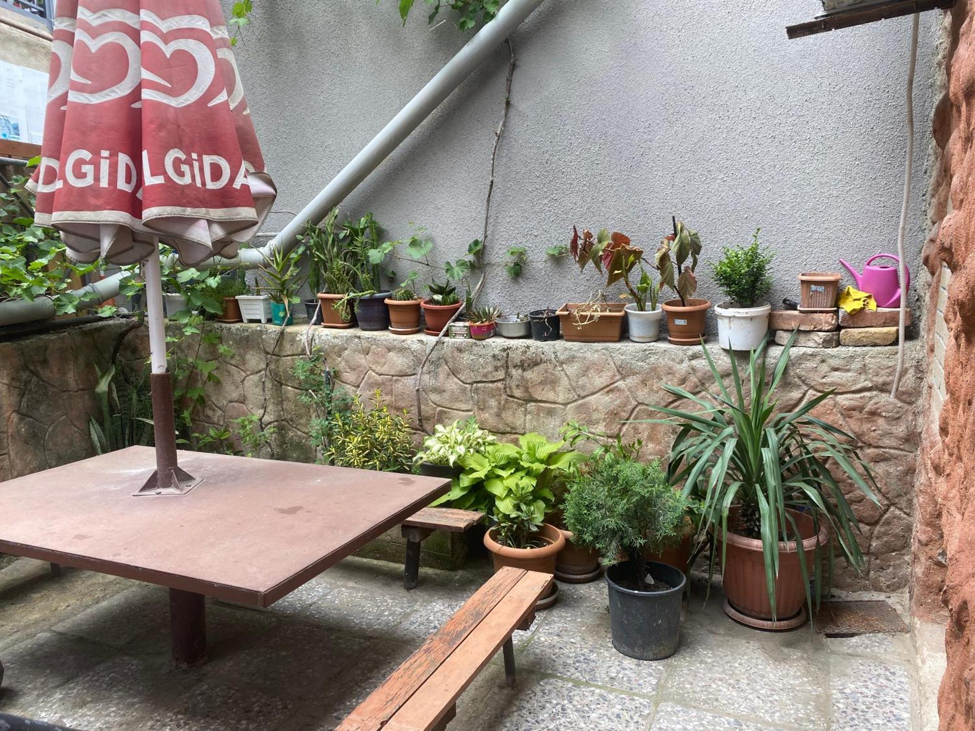 Hillside Guesthouse بورجومي المظهر الخارجي الصورة